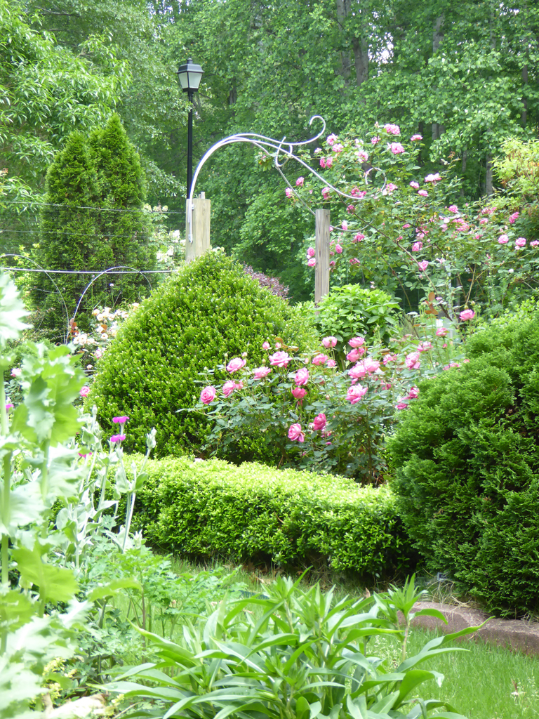 Landscape - Burke, Jane
