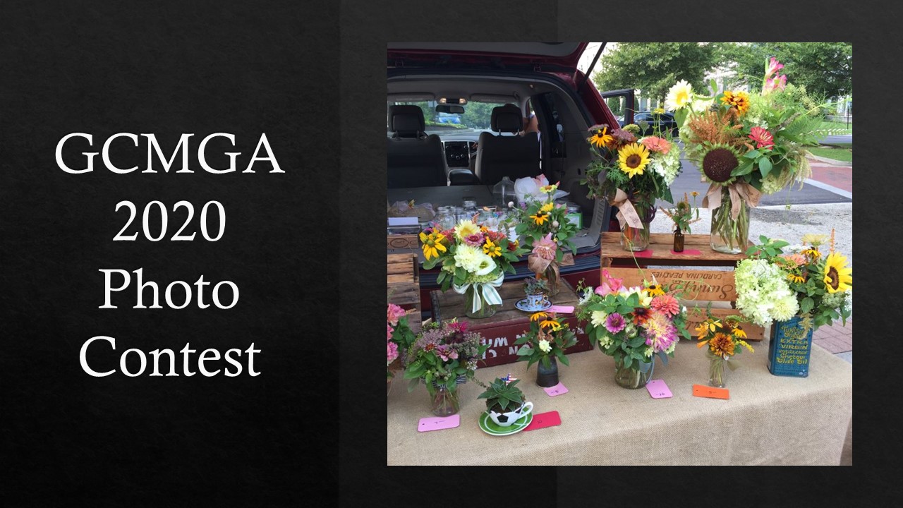2020 GCMGA Photo Contest