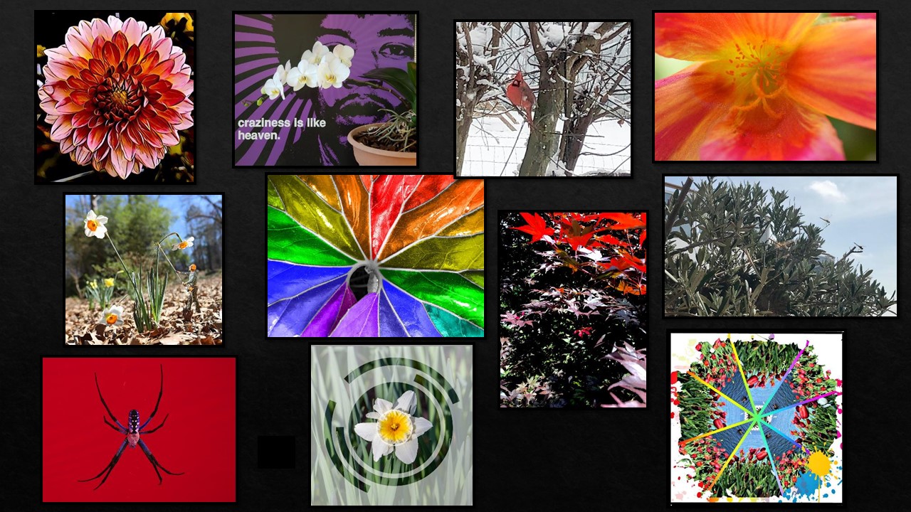 Digital Art Category