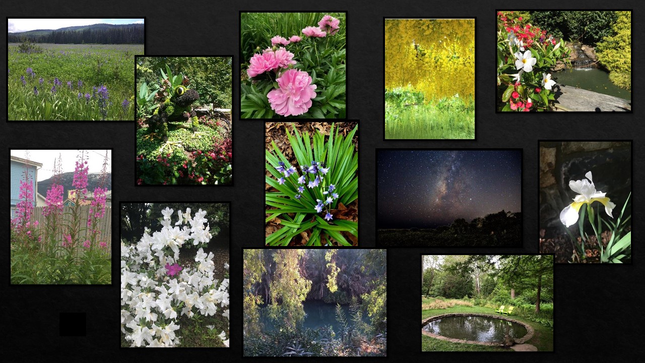 Plant Gardens Landscape Category Composite 1