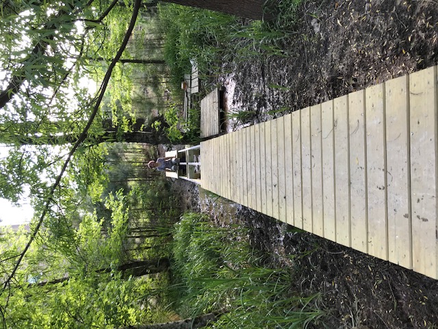 Bridging the isolation gap with nature