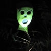 Greenie