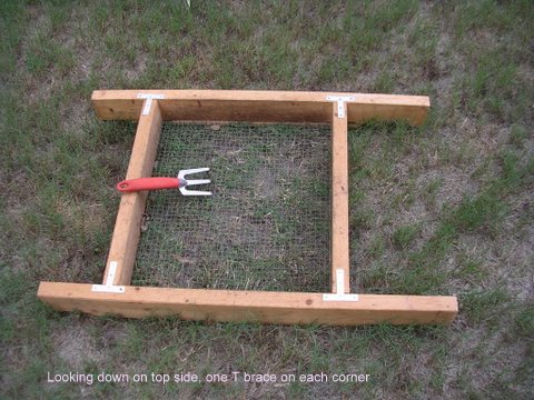 The frame