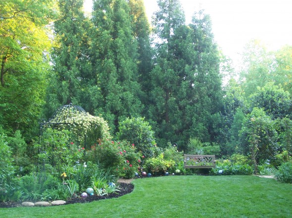 Payge Cox's Garden