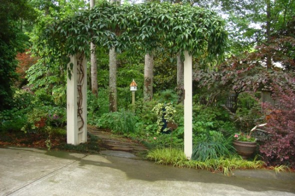 Linda Edwards' Garden