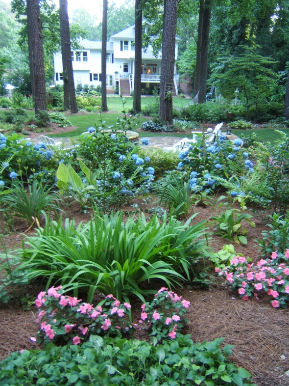 Julie Foster's Garden