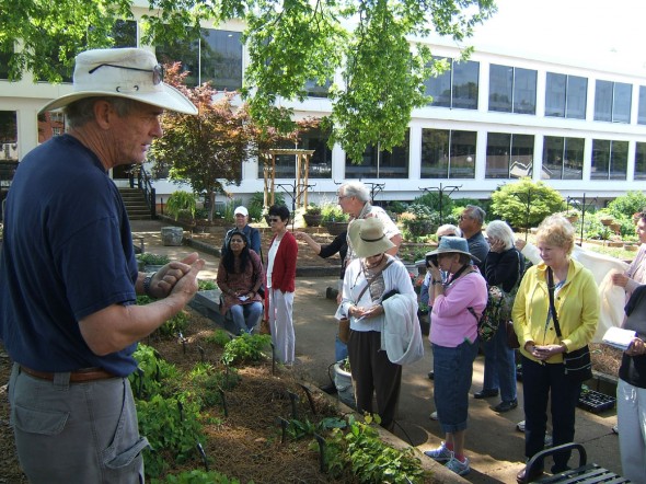 UGA Trial Gardens 2011