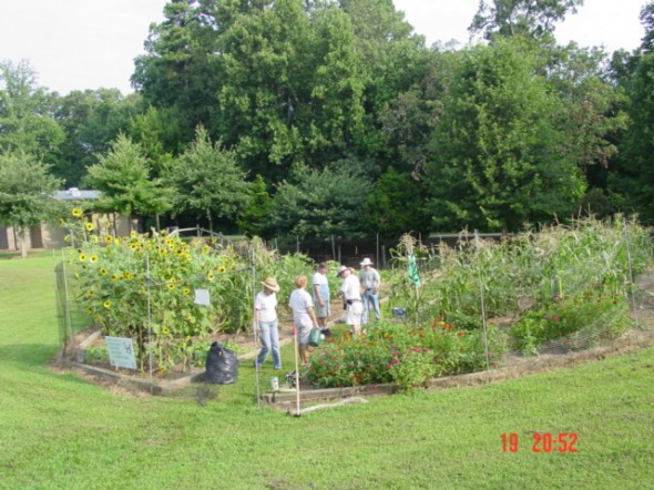 McDaniel Farm Park 7-20-11 Workday-Volunteers at work