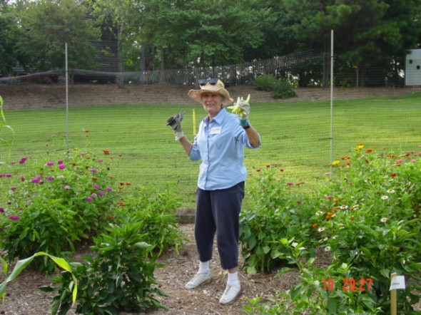 McDaniel Farm Park Workday 7-20-11 Barbara Picking Peppers