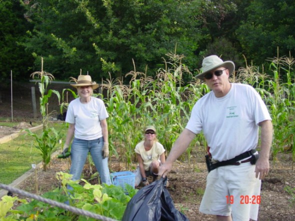 McDaniel Farm Park Workday Virginia, Tammy & John Cleaning out the Squash beds