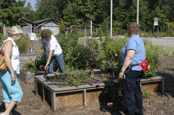 Student Garden 31