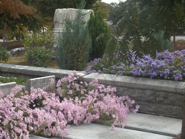DSCF4277-2